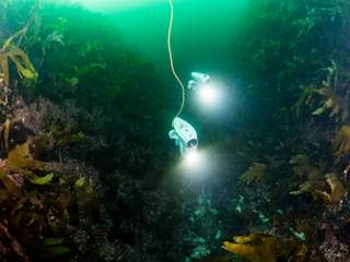 Two underwater drones in the canyon leading to the cannons