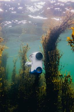 Blueye Pioneer in Norwegian waters