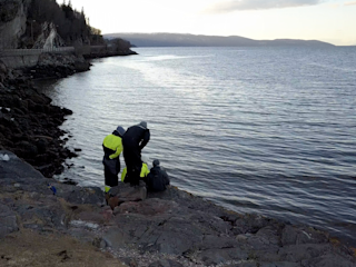 Exploring the barge wreck from shore