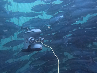 Blueye X3 with gripper and extra lights in a fish pen