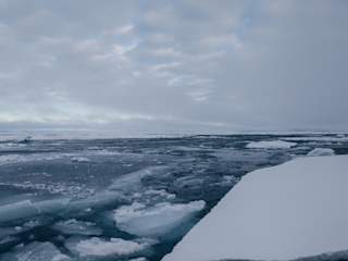 Ice floes