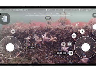 Marea: phone showing dive2