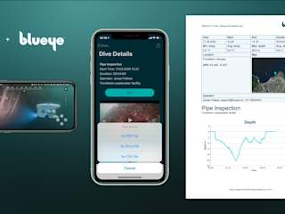 Report Generation in Blueye App
