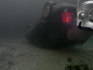 Inspecting the car from behind