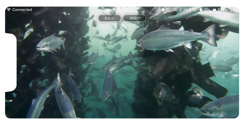 Share video stream on multiple devices