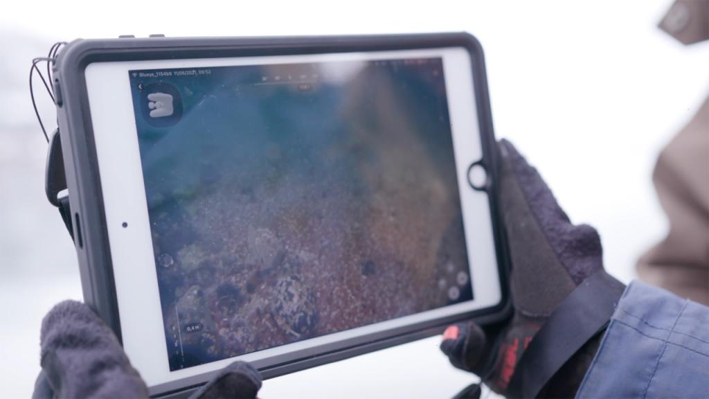 En UiT student ser på undervannsbilder fra en Blueye drone på en ipad