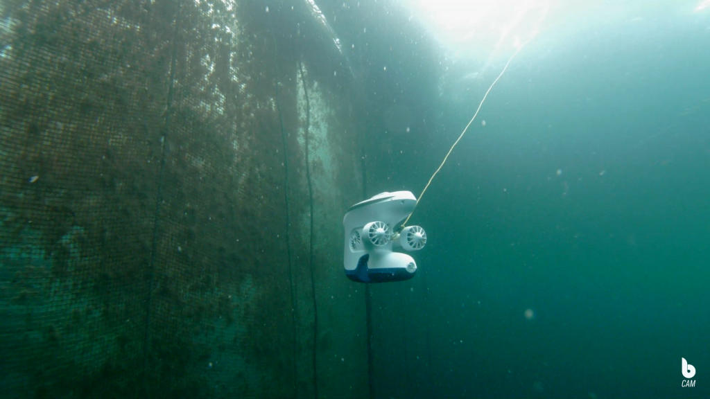 Blueye Pro undervannsdrone inspiserer not i en merde