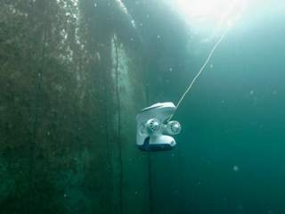 Drone inspecting fishnet