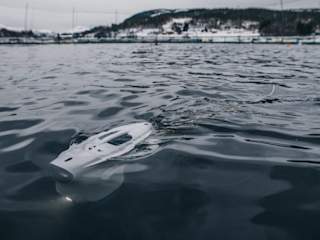 Blueye in the surface