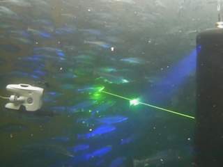 Blueye X3 and lice lazer