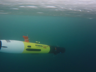 AUV REMUS flying into the unknown under the ice