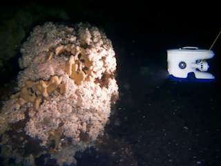 Blueye Pioneer filming the coral reef