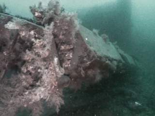 Wreckparts from Figaro at Svalbard