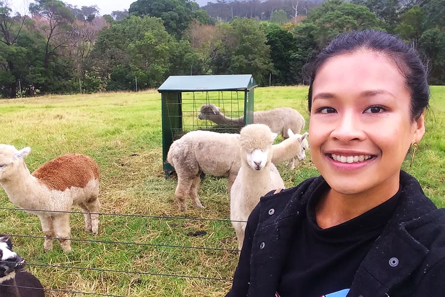 leeza selfie of young woman smiling with alpacas behind her