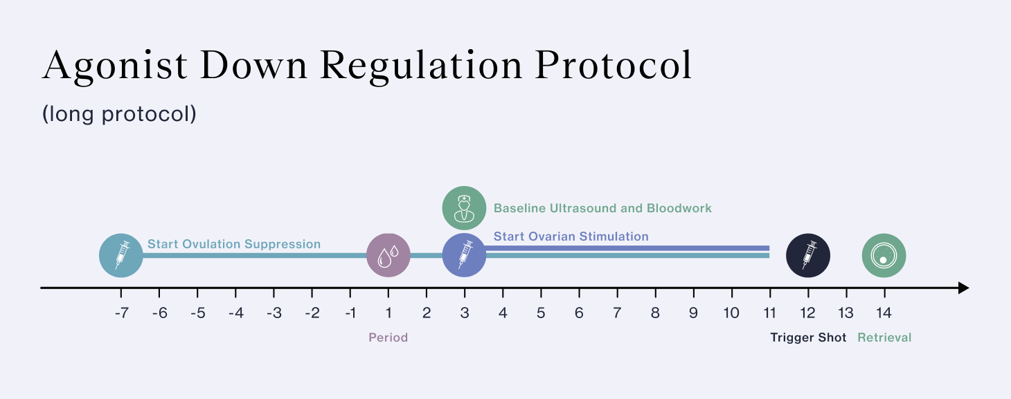 IVF Agonist Down Regulation (Long) Protocol