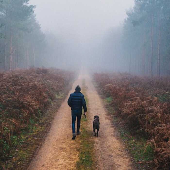 man walking dog through forest