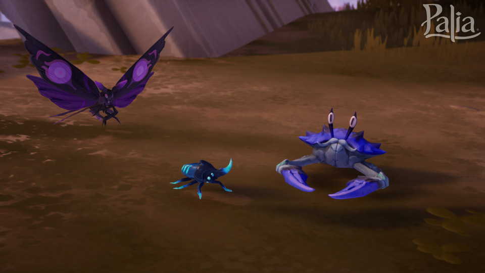 17 Insects