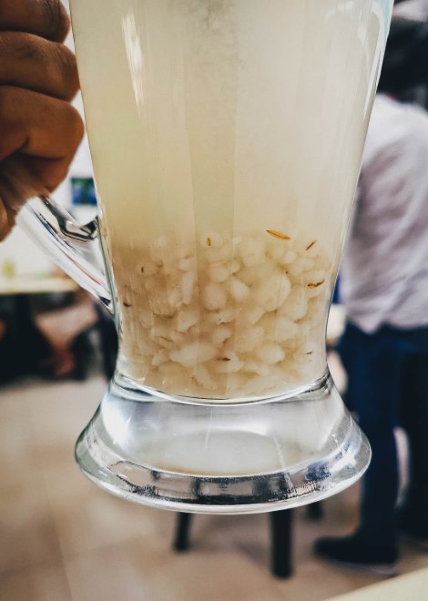 A refreshing barley drink found in Singapore