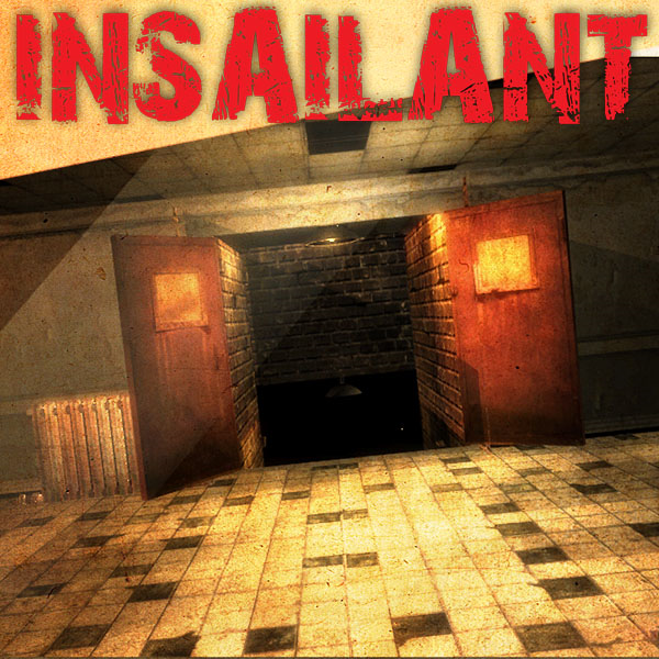 Image for Insailant