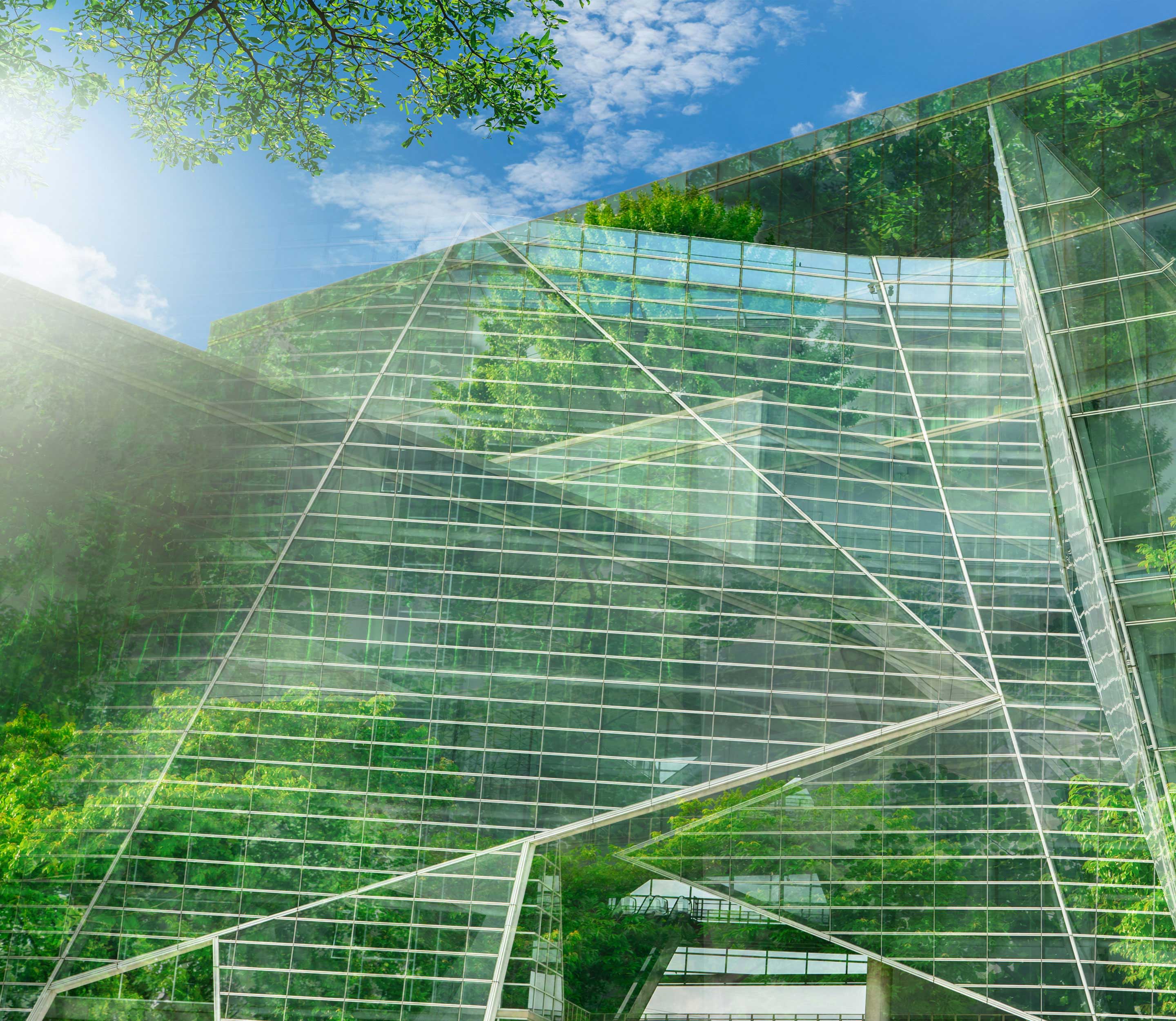 Udržitelná skleněná kancelářská budova se stromem pro snížení oxidu uhličitého