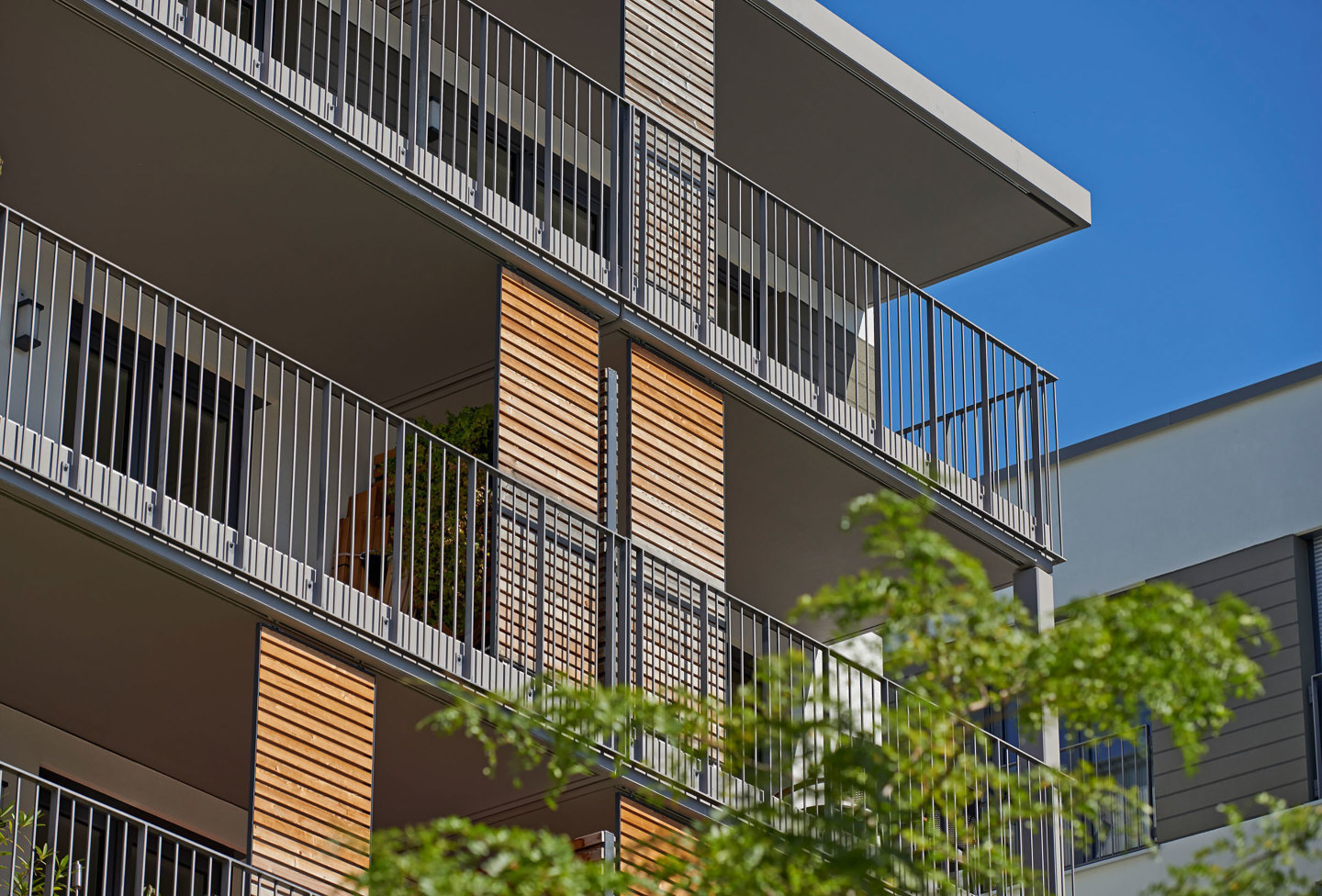 Foto: Balkonfront Donnersberger Hoefe mit Holzelementen und viel Grün