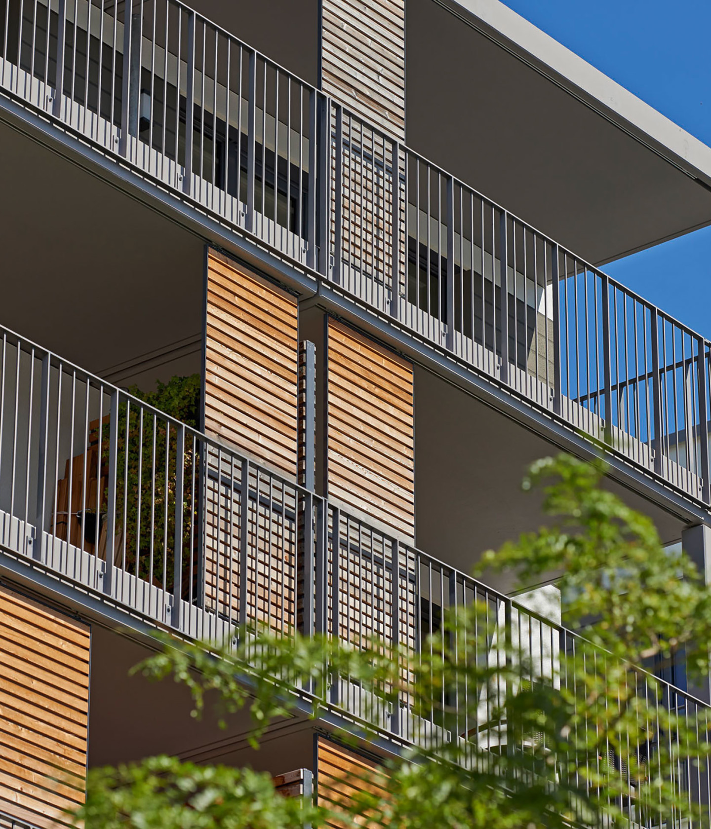 Foto: Balkonfront Donnersberger Höfe mit Holzelementen und viel Grün