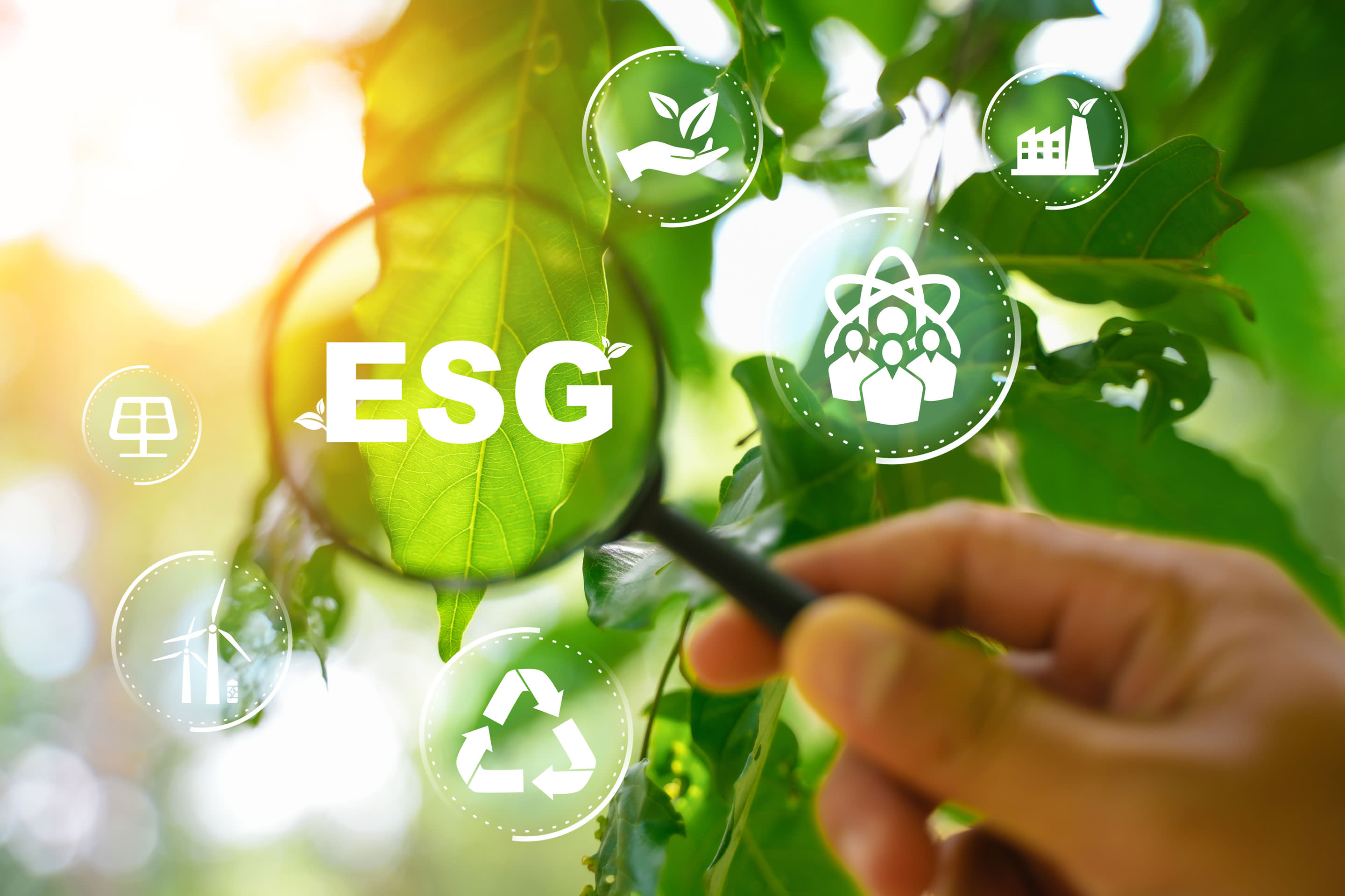 Take a close look at ESG