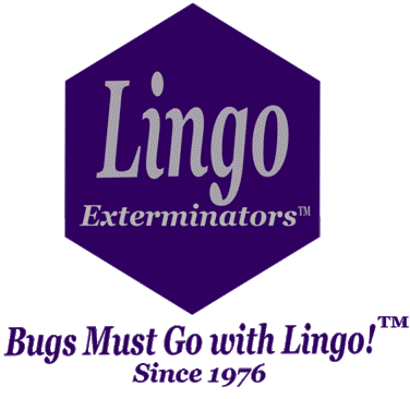 Lingo Exterminators