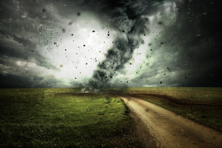 how to get a disaster loan
