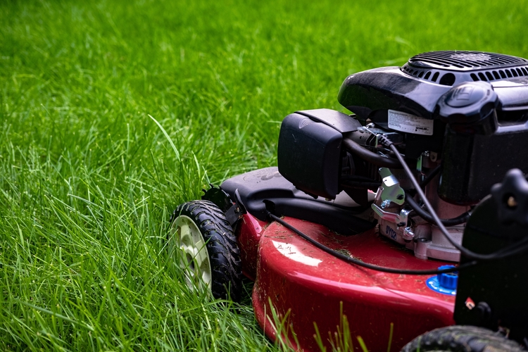 terrys lawn care
