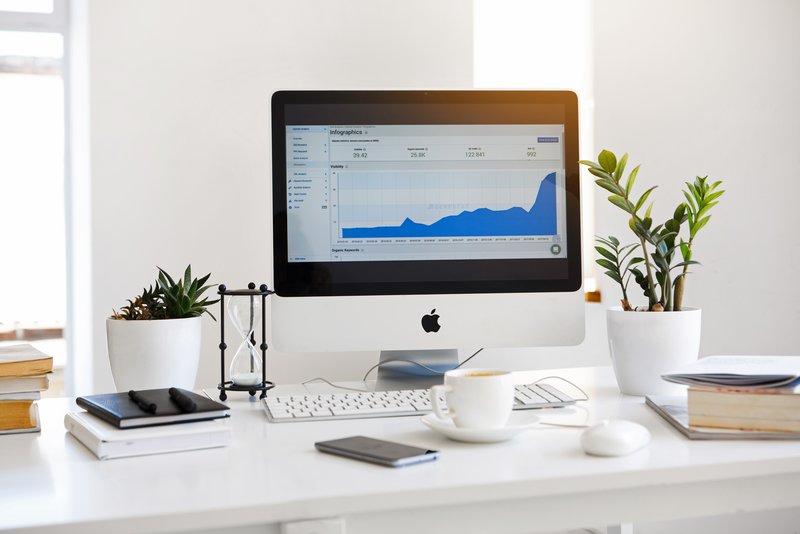 startup track expenses