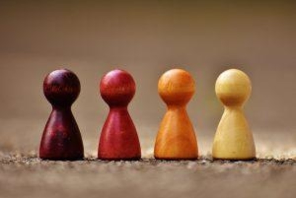 New board members
