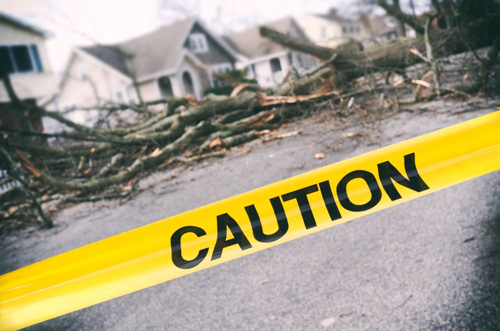 Business insurance for natural disasters