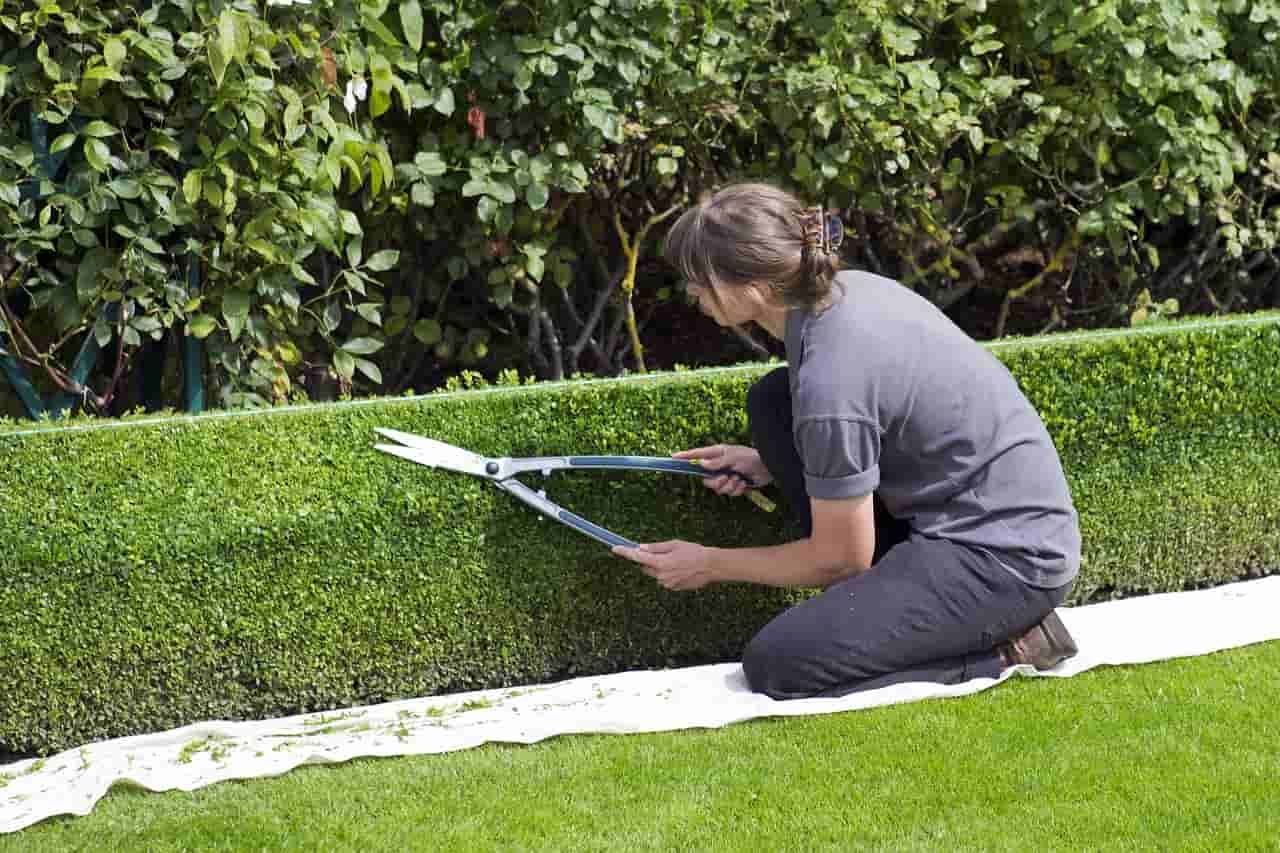 How Landscapers Increase Rates