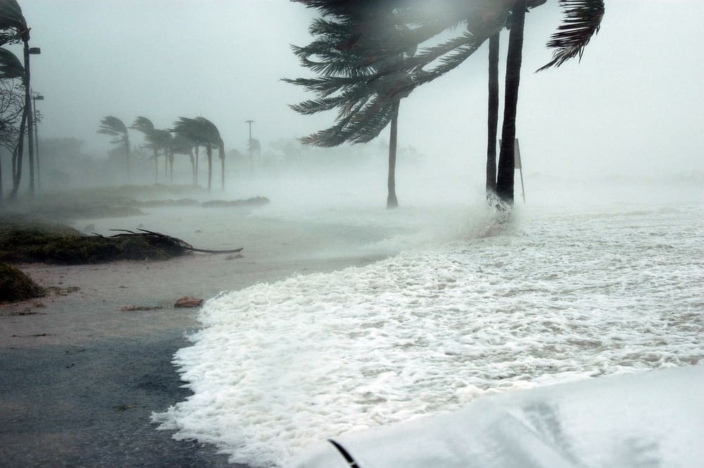 Hurricane natural disaster