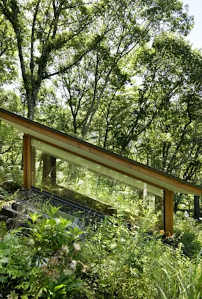 Outside of Tokyo, This Modest Cabin Embraces Forest Bathing