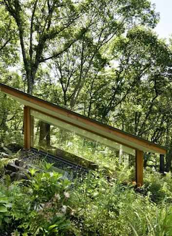 Outside of Tokyo, This Modest Cabin Embraces Forest Bathing