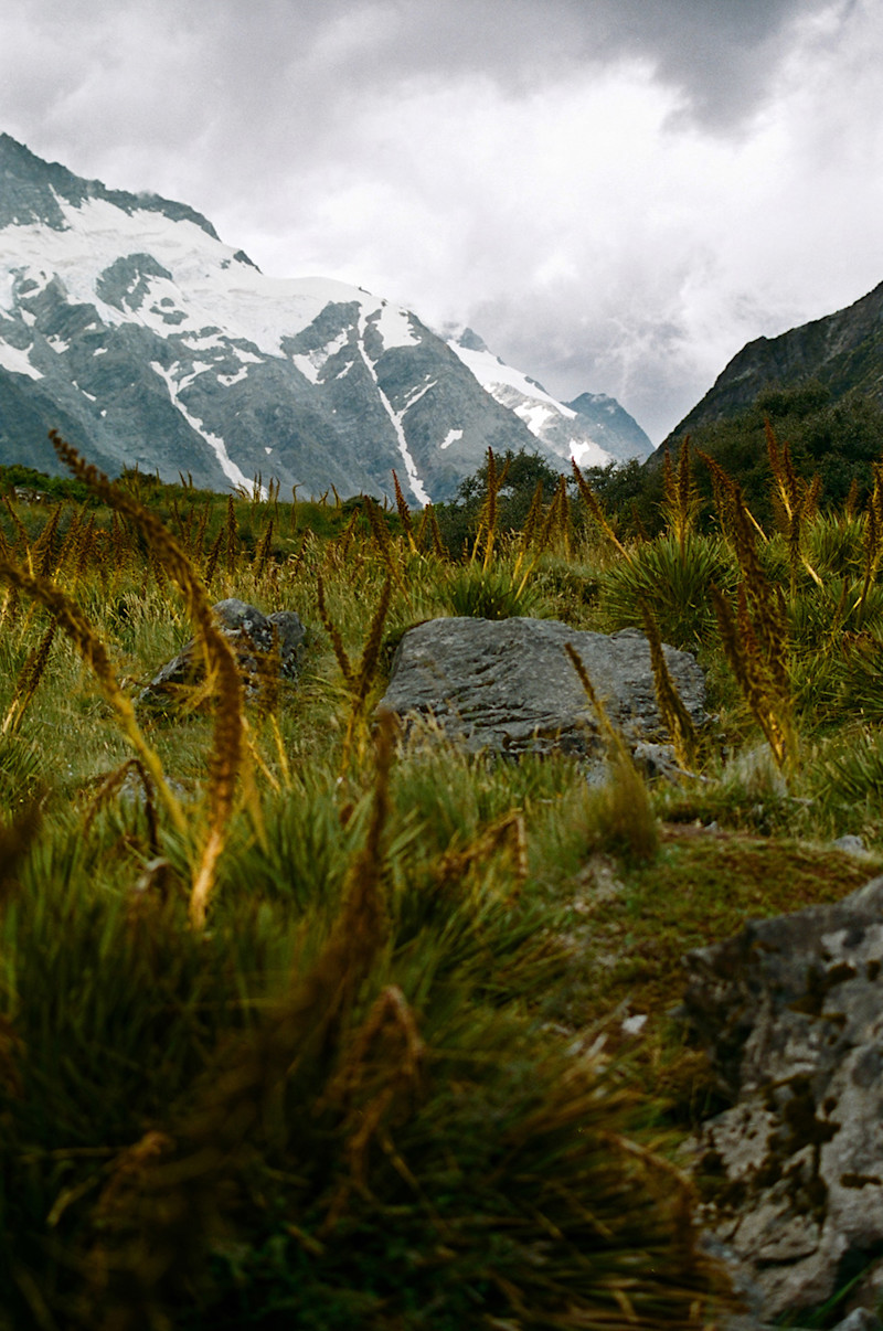 Spencer-Wells-New-Zealand-16-Fieldmag