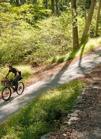 Delaware Water Gap Bikepacking, Just Outside of New York City