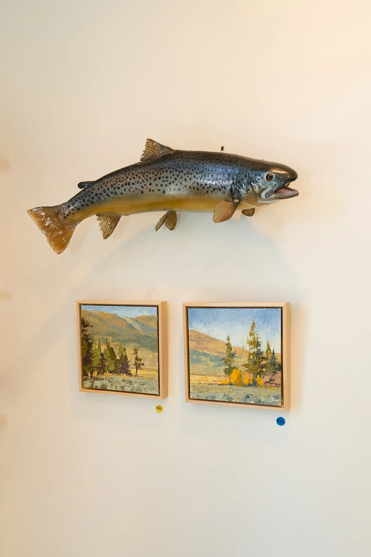 active-cultures-slc-fish-wall-display