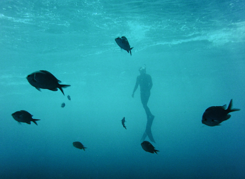 Andrew-T-Kearns-Nikonos-Diver-Fieldmag-8