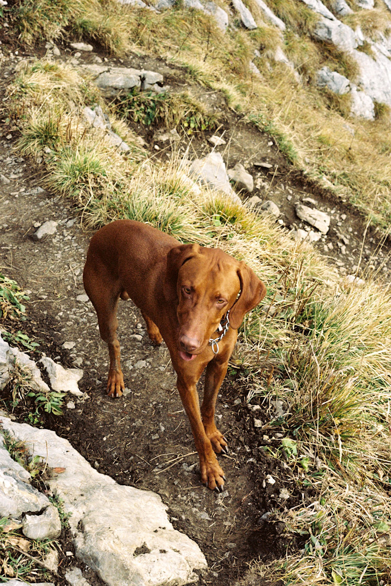 Philipp-Wortmann-fall-alpine-hike-6