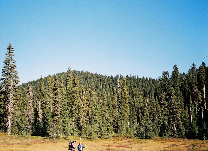 Backpacking Washington State's Indian Heaven Wilderness