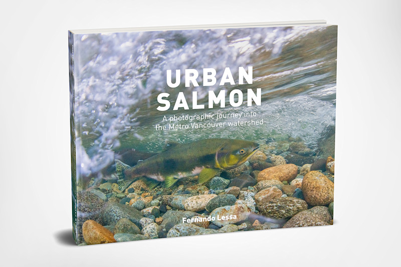 Fernando-Lessa-Urban-Salmon-Fieldmag-book