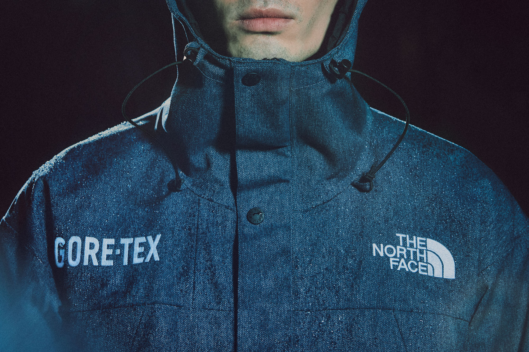 North face all terrain gore tex jacket sale