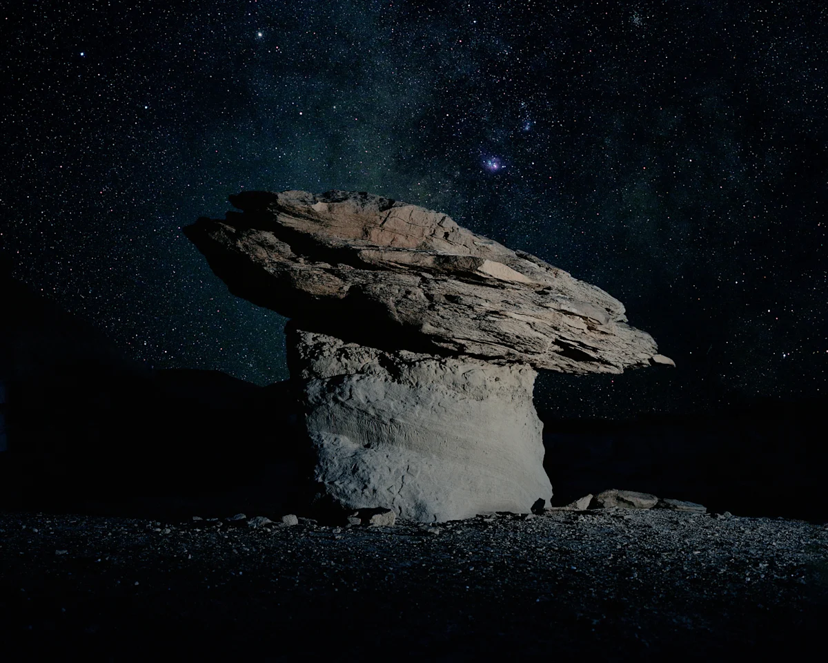 brendan-george-ko-Shroomrock