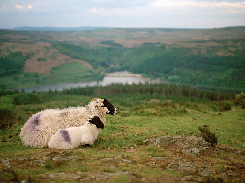 Joe-Wilkins-UK-Hike-7