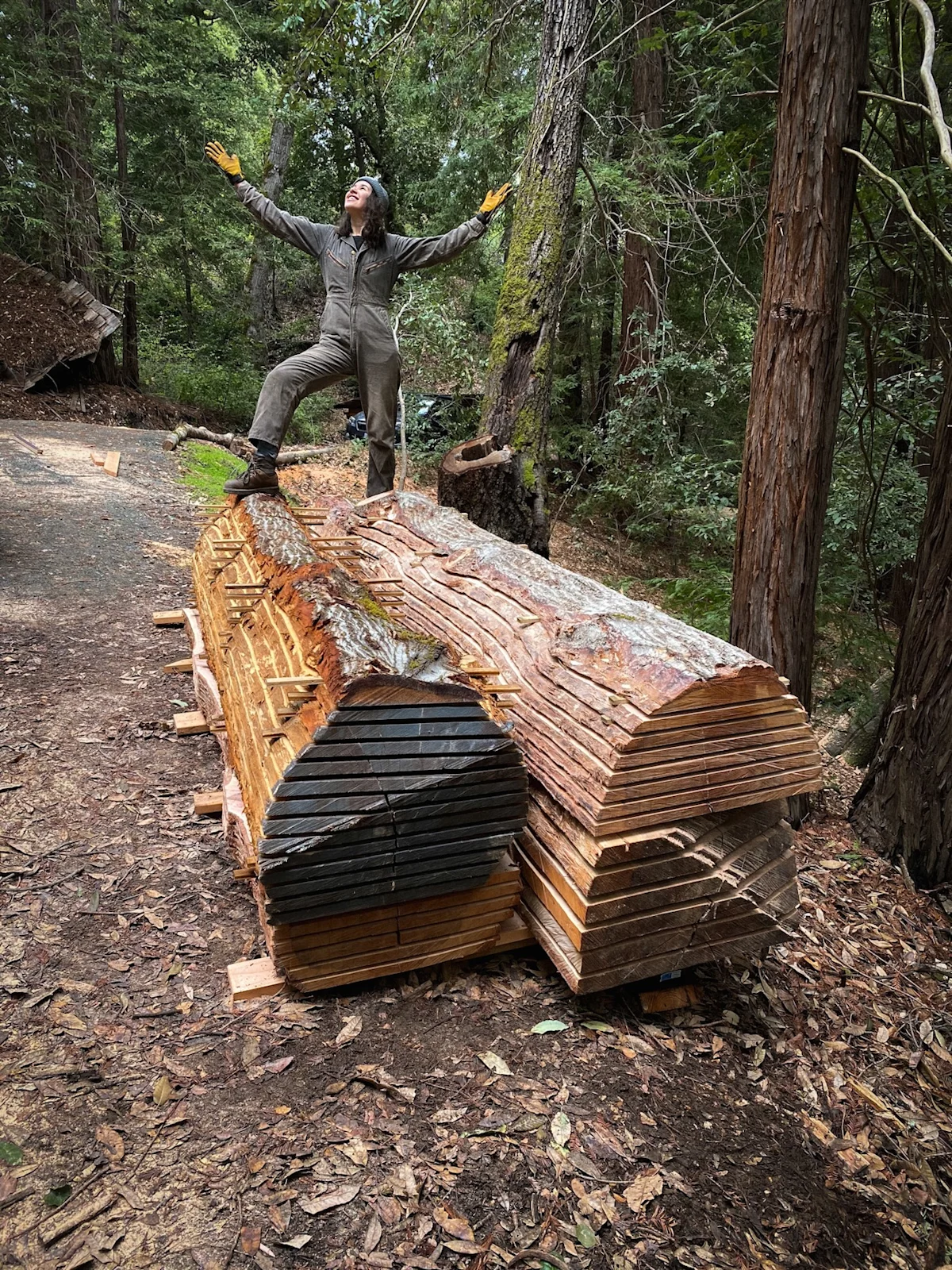 the-land-q-and-a-molly-lumber