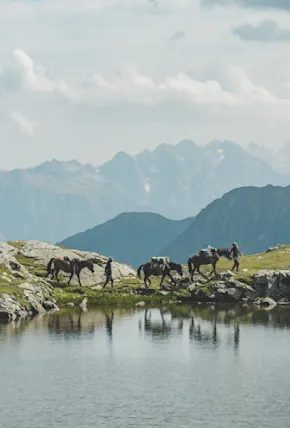 Why These French Filmmakers Rode Three Horses from Kyrgyzstan to Mont Blanc