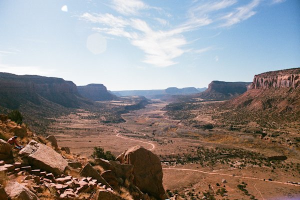 M-Richardson-Joshua-Tree-12
